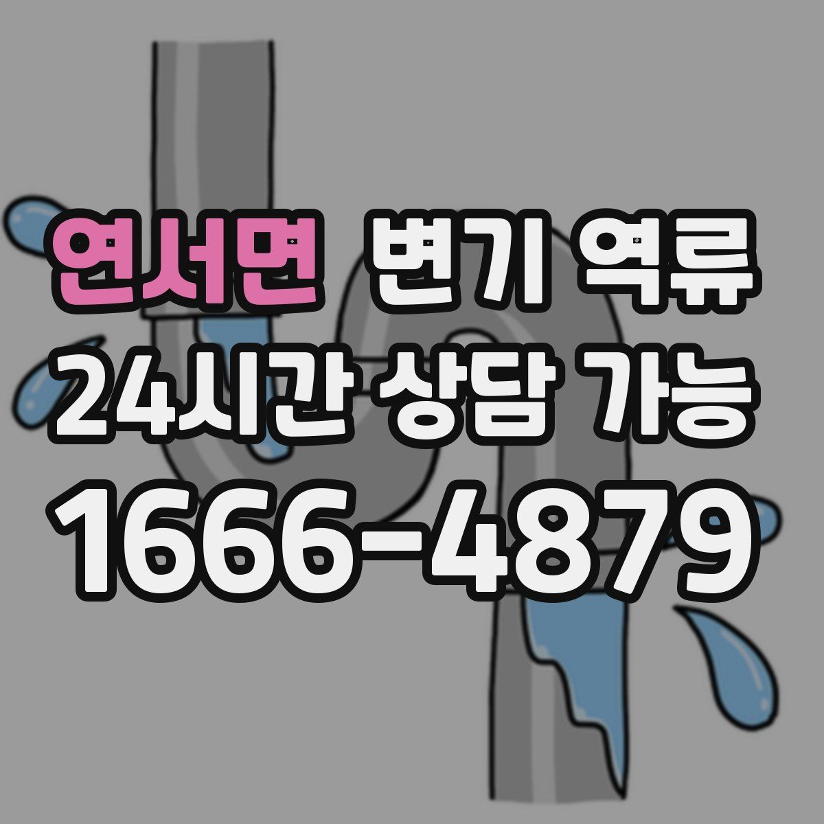 연서면 변기 역류