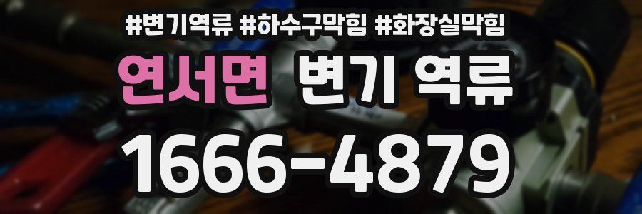 연서면 변기 역류