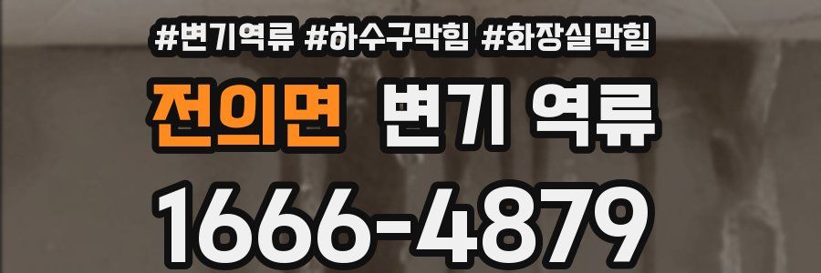 전의면 변기 역류