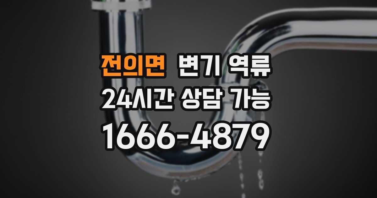 전의면 변기 역류