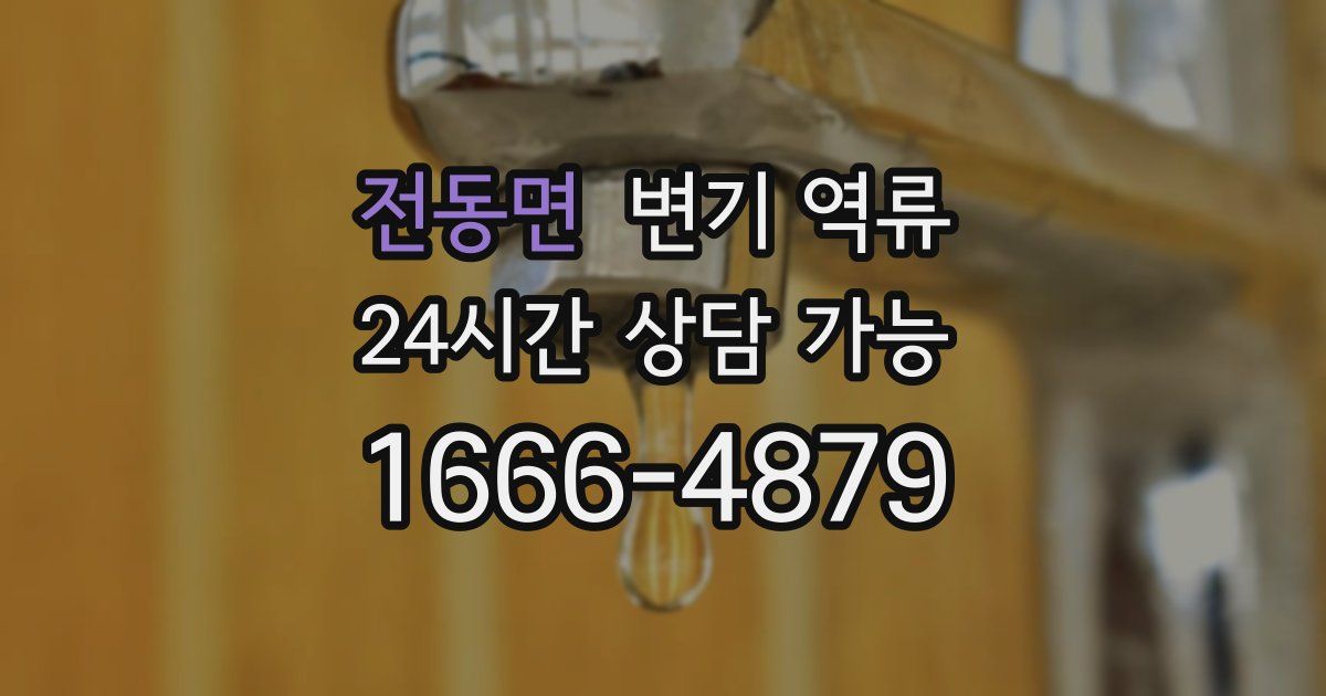 전동면 변기 역류