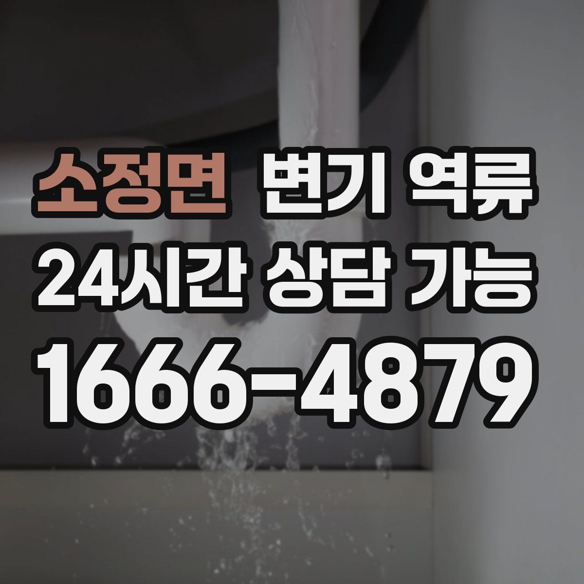 소정면 변기 역류