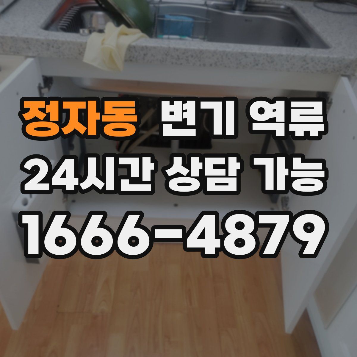 정자동 변기 역류