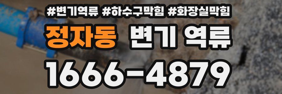 정자동 변기 역류