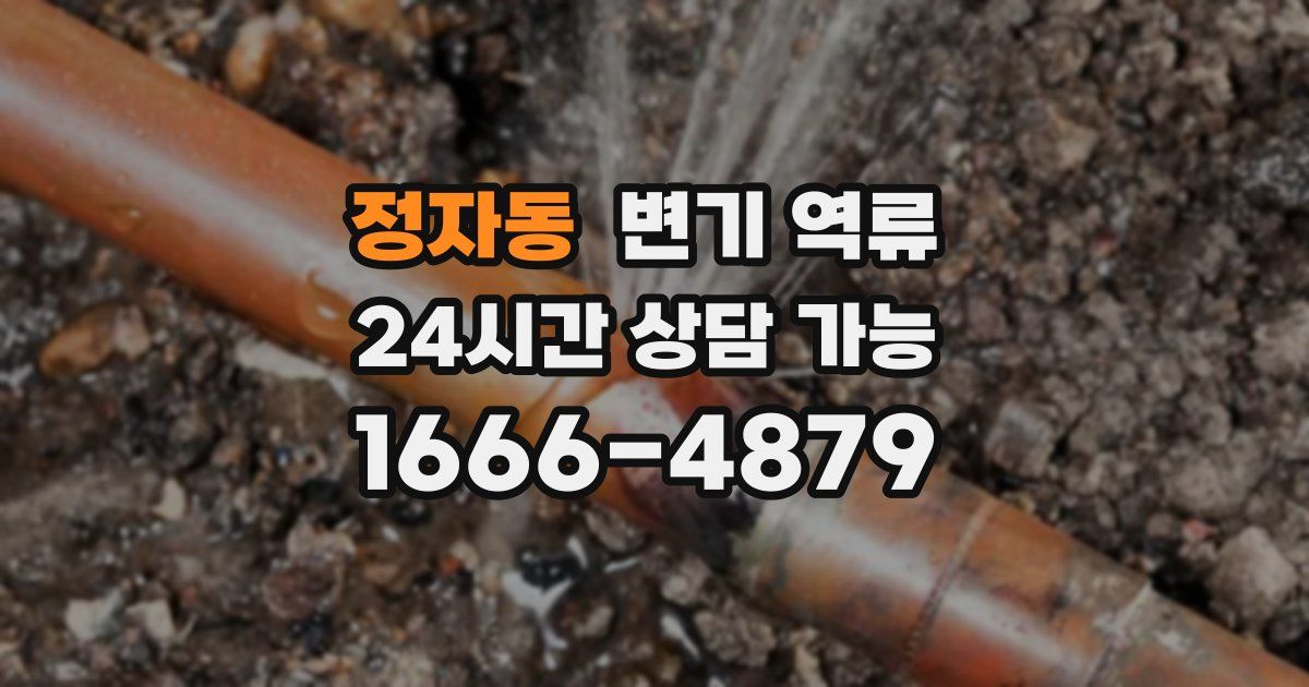 정자동 변기 역류