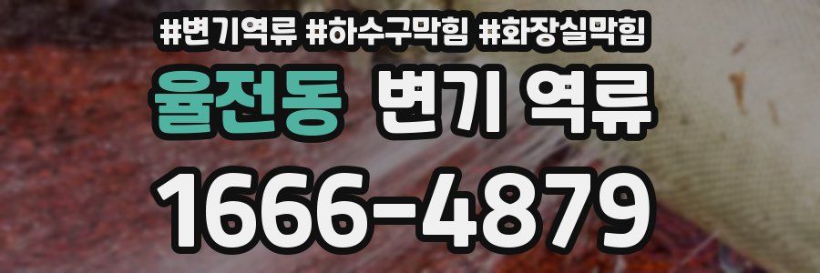 율전동 변기 역류