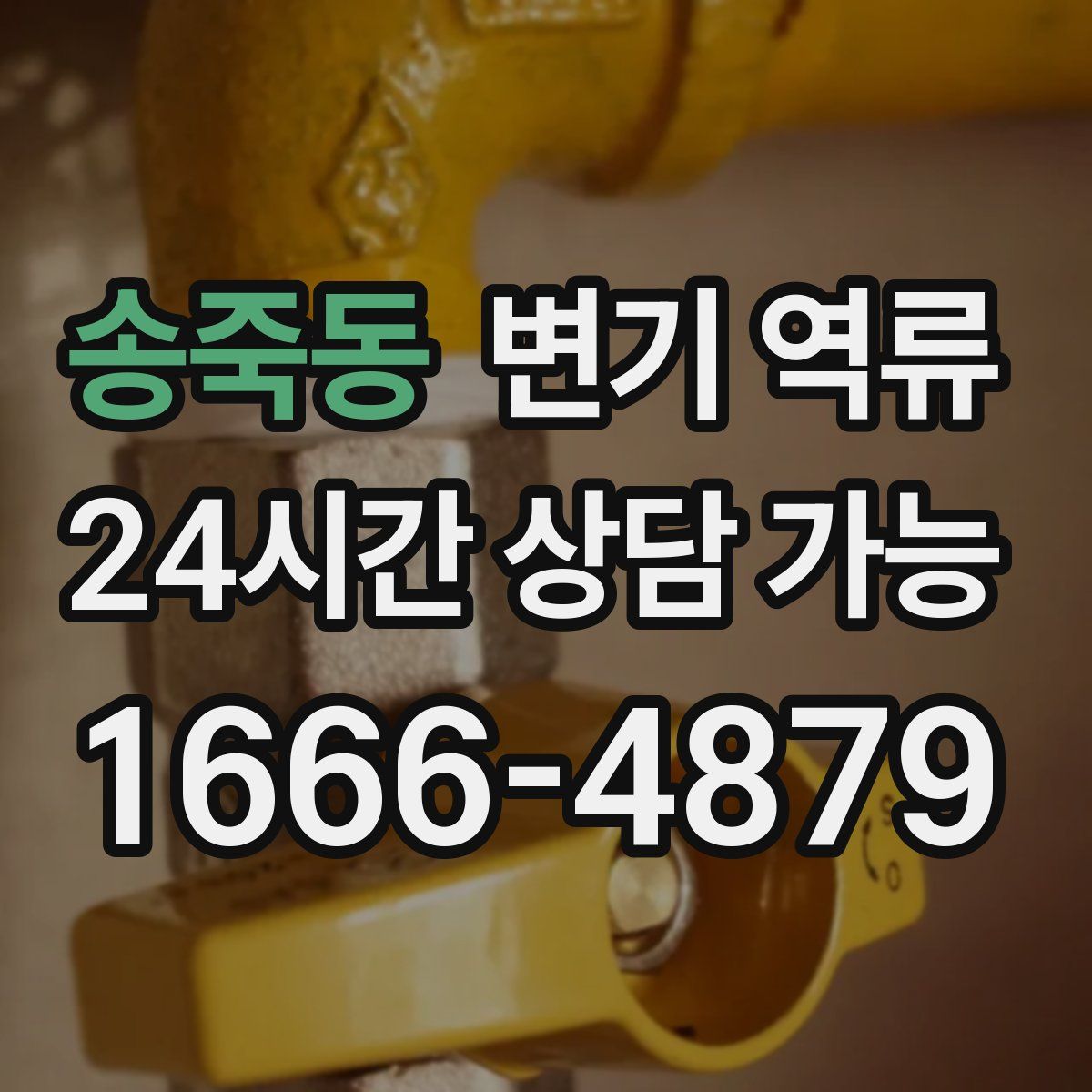 송죽동 변기 역류