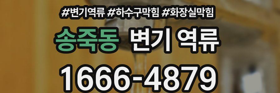 송죽동 변기 역류