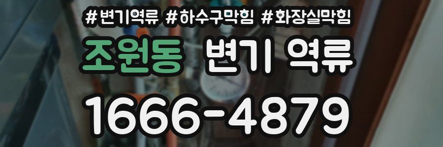 조원동 변기 역류