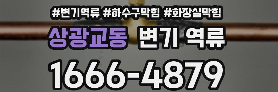 상광교동 변기 역류