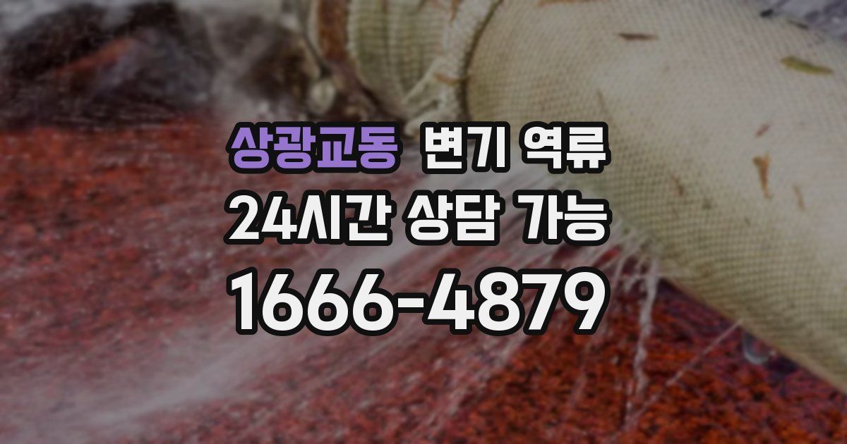 상광교동 변기 역류