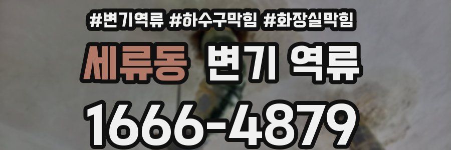 세류동 변기 역류