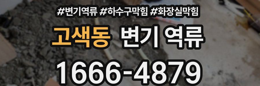 고색동 변기 역류