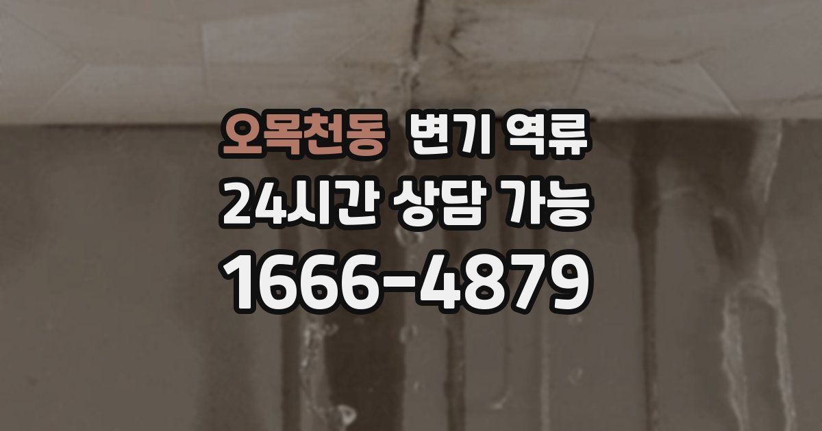 오목천동 변기 역류