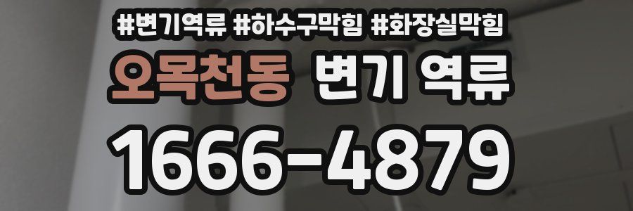 오목천동 변기 역류