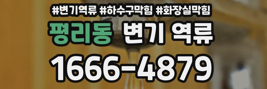 평리동 변기 역류