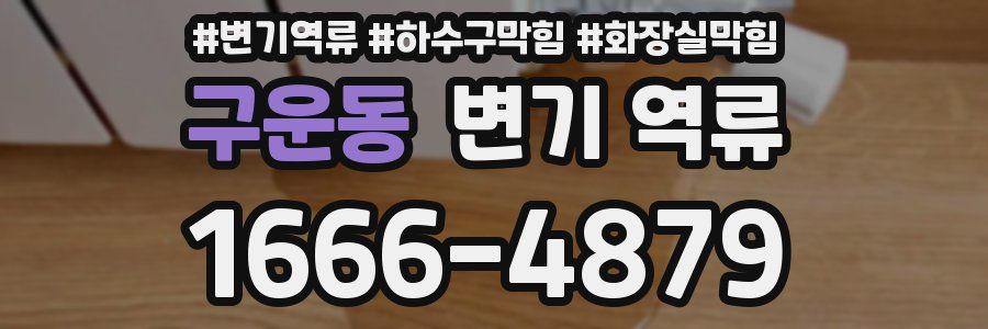 구운동 변기 역류