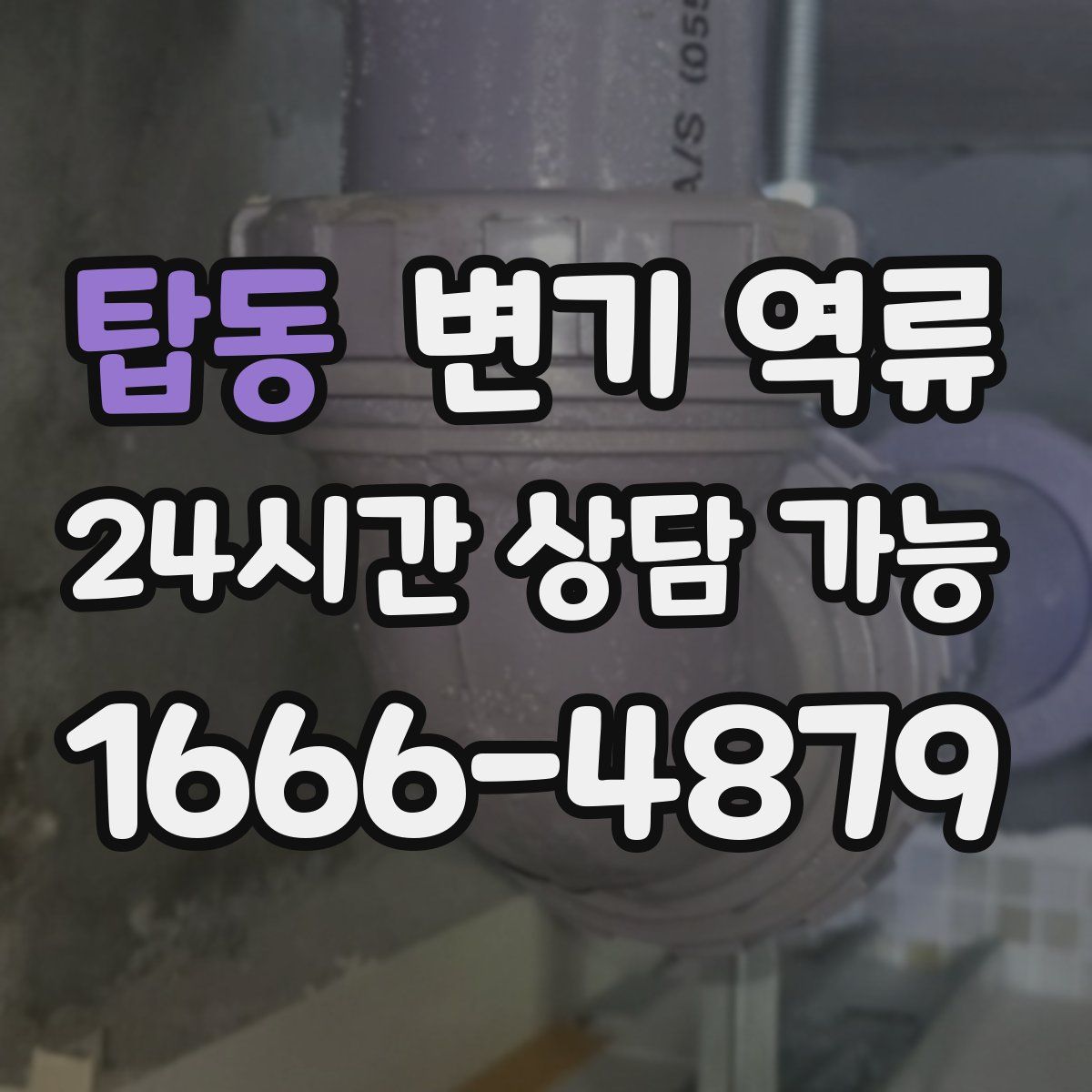 탑동 변기 역류