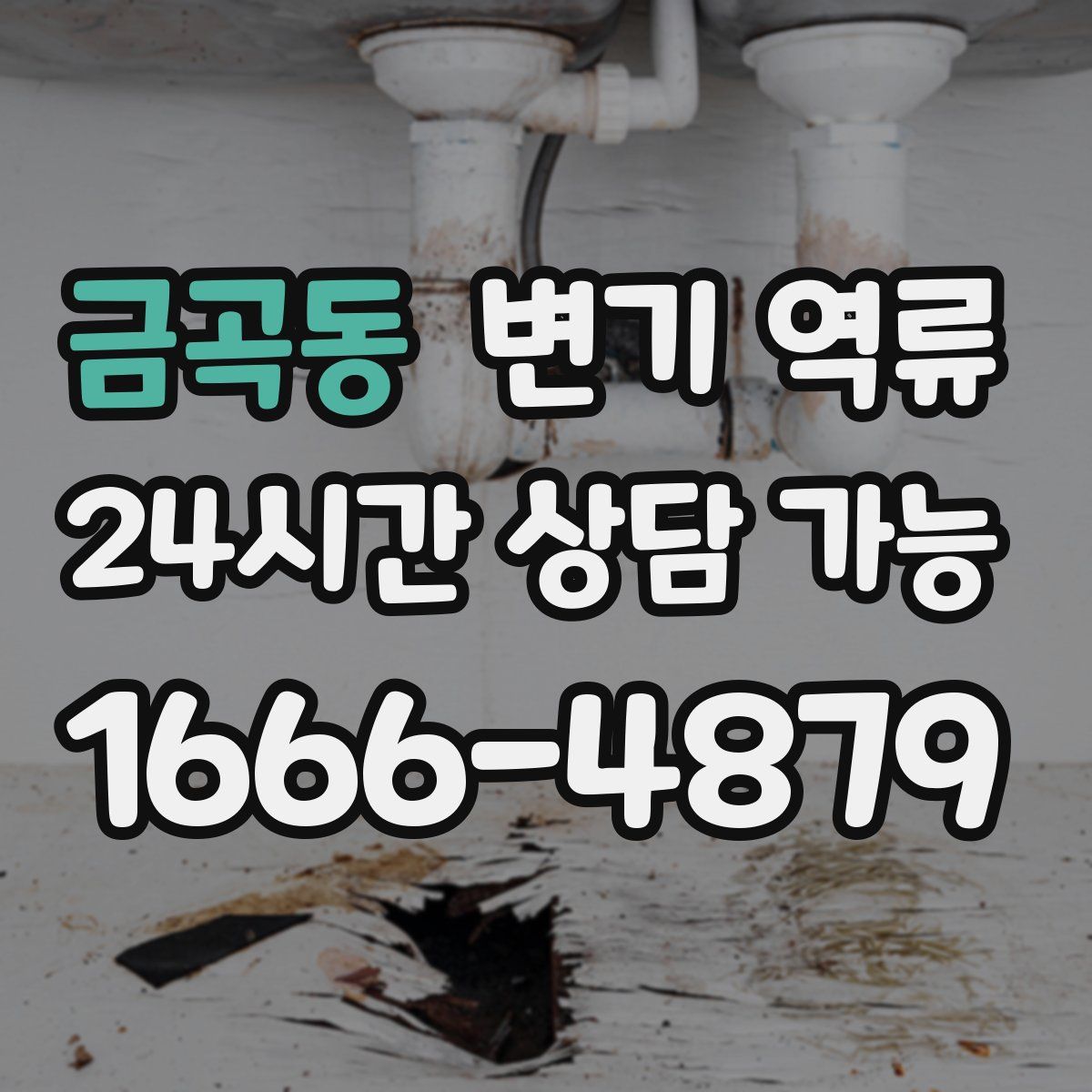금곡동 변기 역류