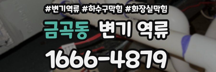 금곡동 변기 역류