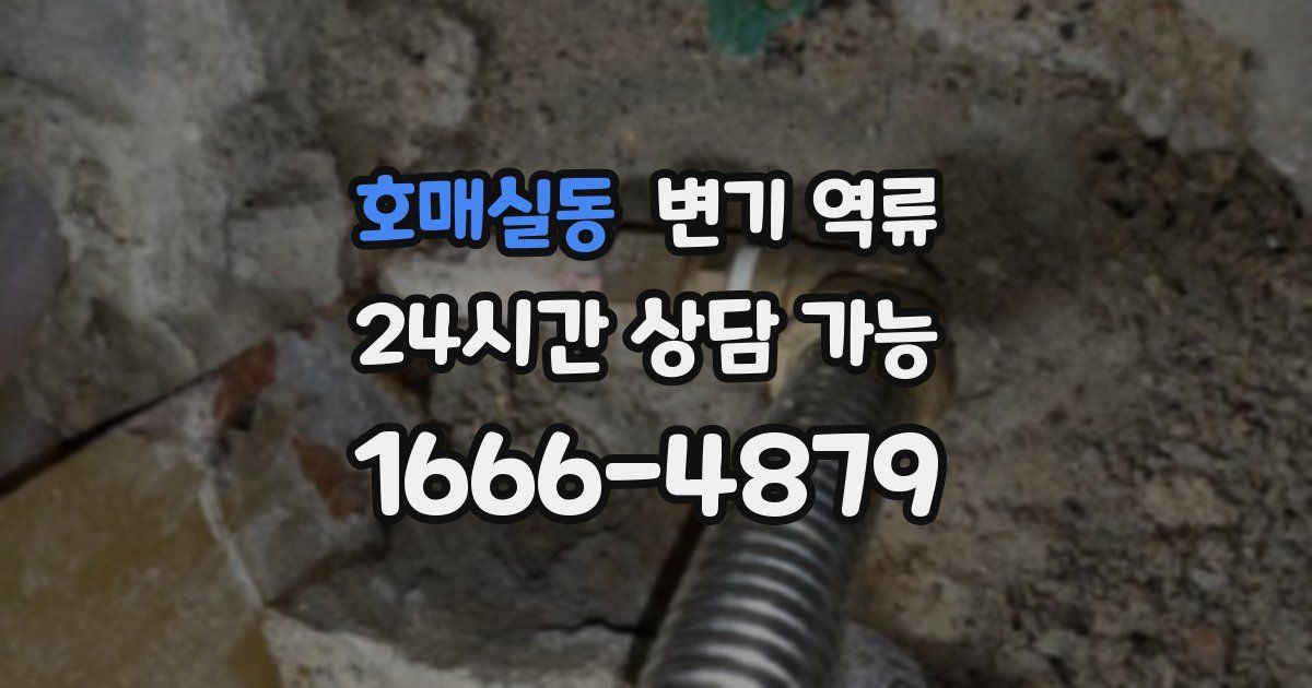 호매실동 변기 역류