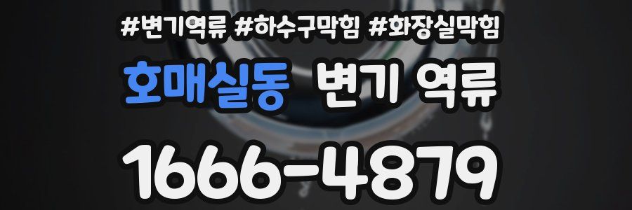 호매실동 변기 역류