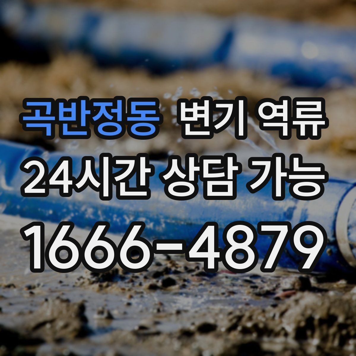 곡반정동 변기 역류 넘친 물을 퍼낼 때 주의해야 할 점