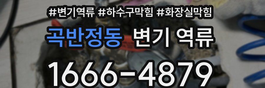 곡반정동 변기 역류