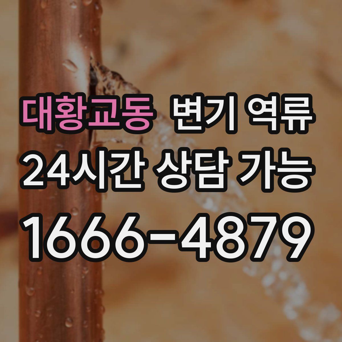 대황교동 변기 역류