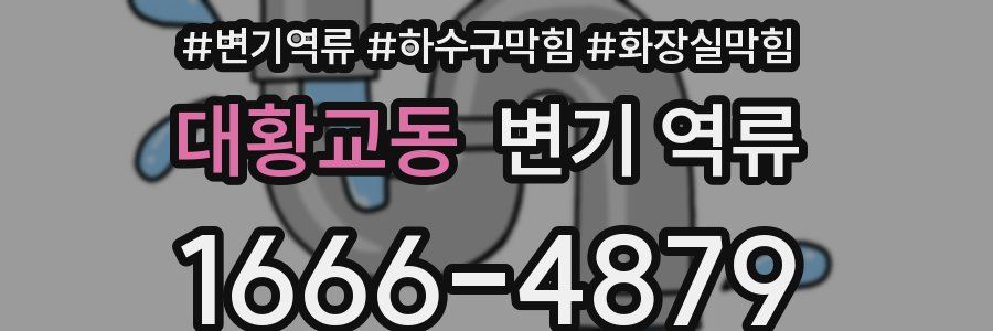 대황교동 변기 역류