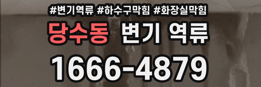 당수동 변기 역류