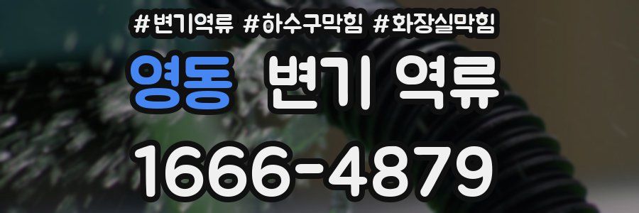 영동 변기 역류