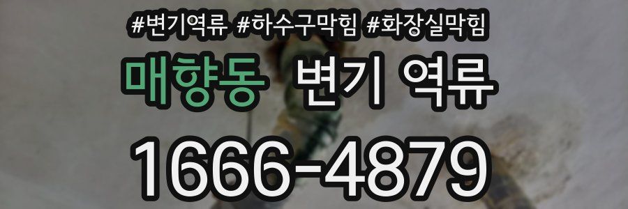 매향동 변기 역류