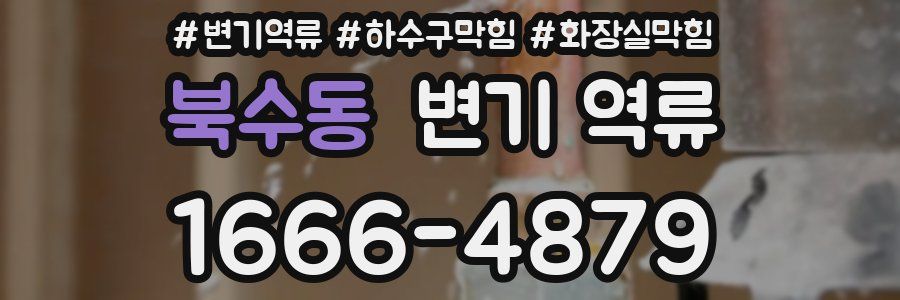 북수동 변기 역류