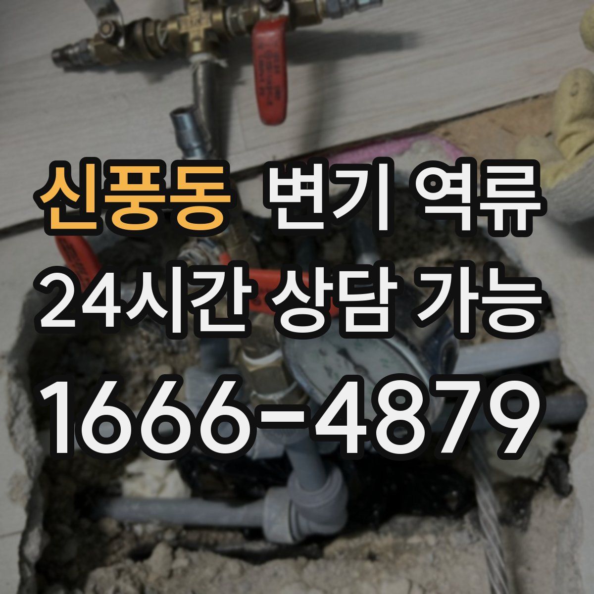 신풍동 변기 역류
