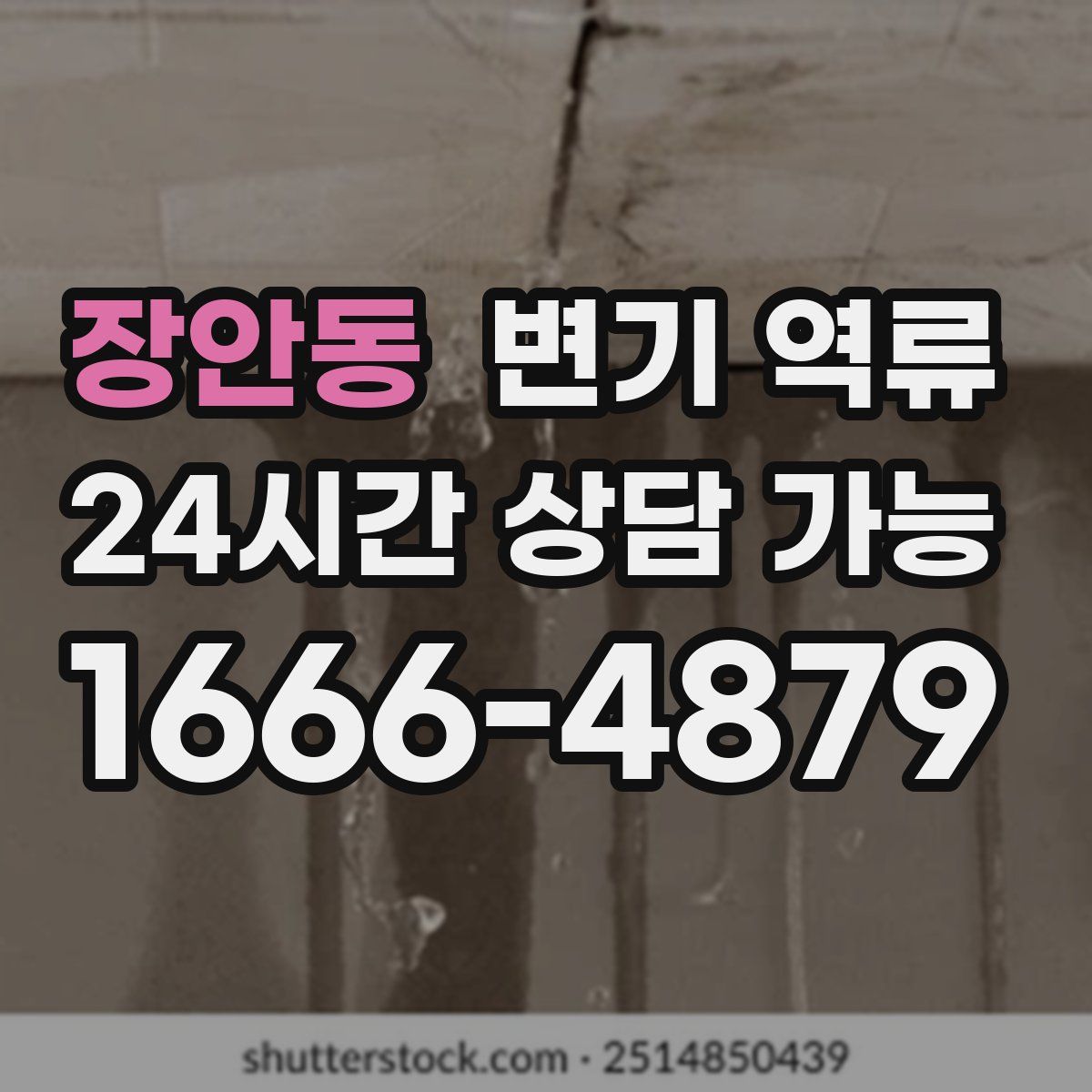 장안동 변기 역류