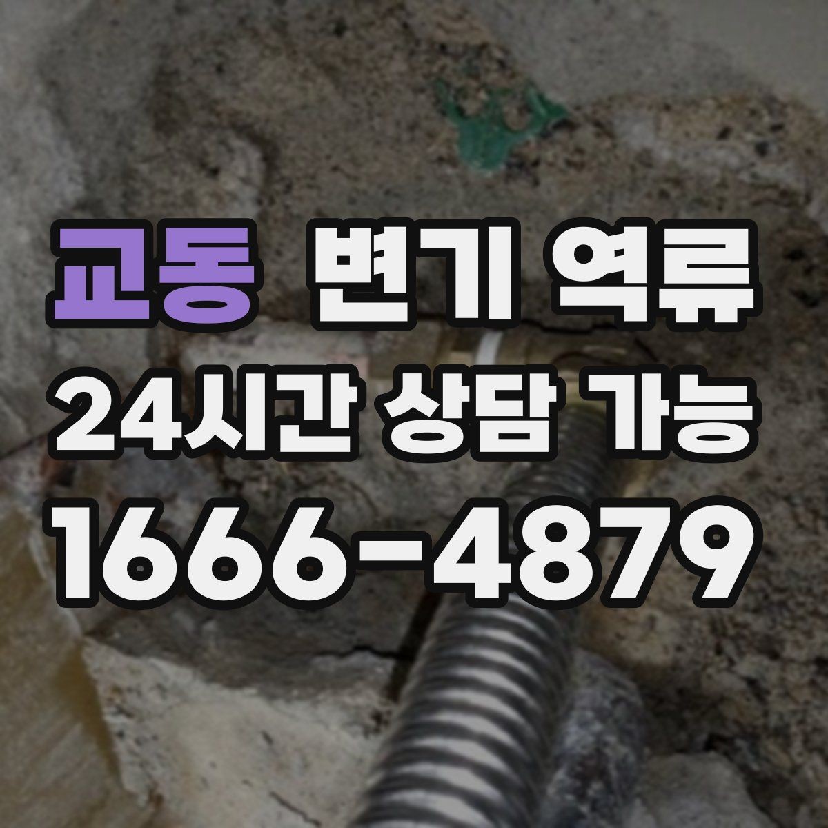 교동 변기 역류 변기솔·탈취제 캡이 떨어졌을 때 대응
