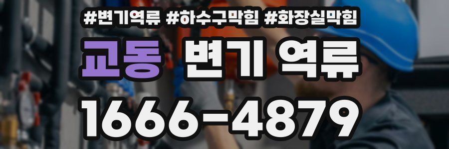 교동 변기 역류