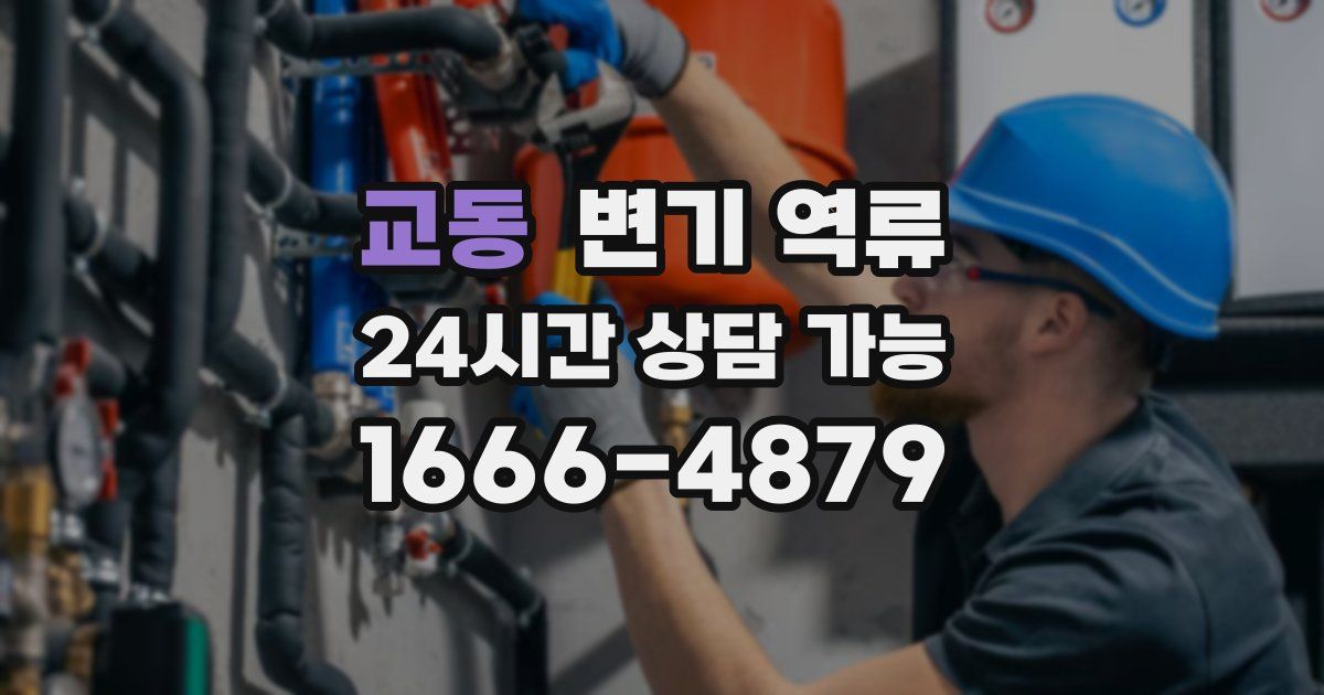 교동 변기 역류