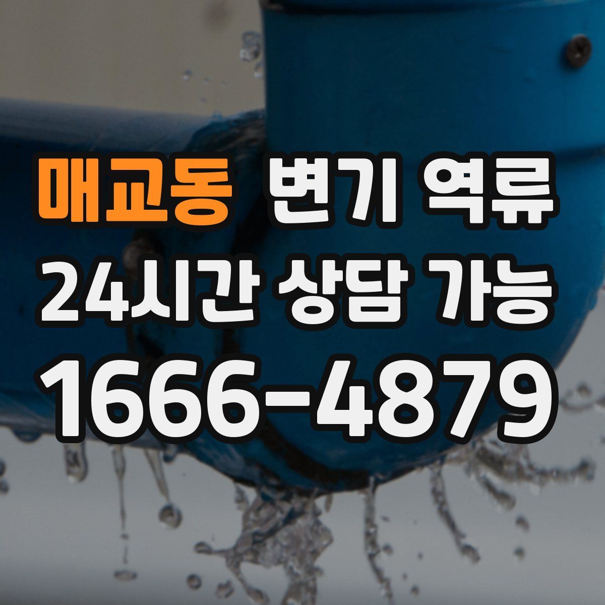 매교동 변기 역류