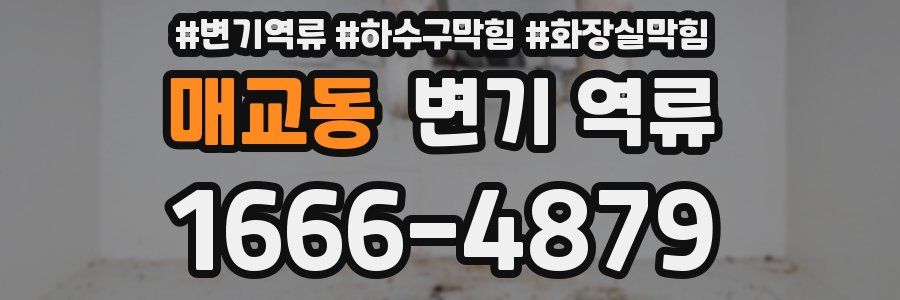 매교동 변기 역류