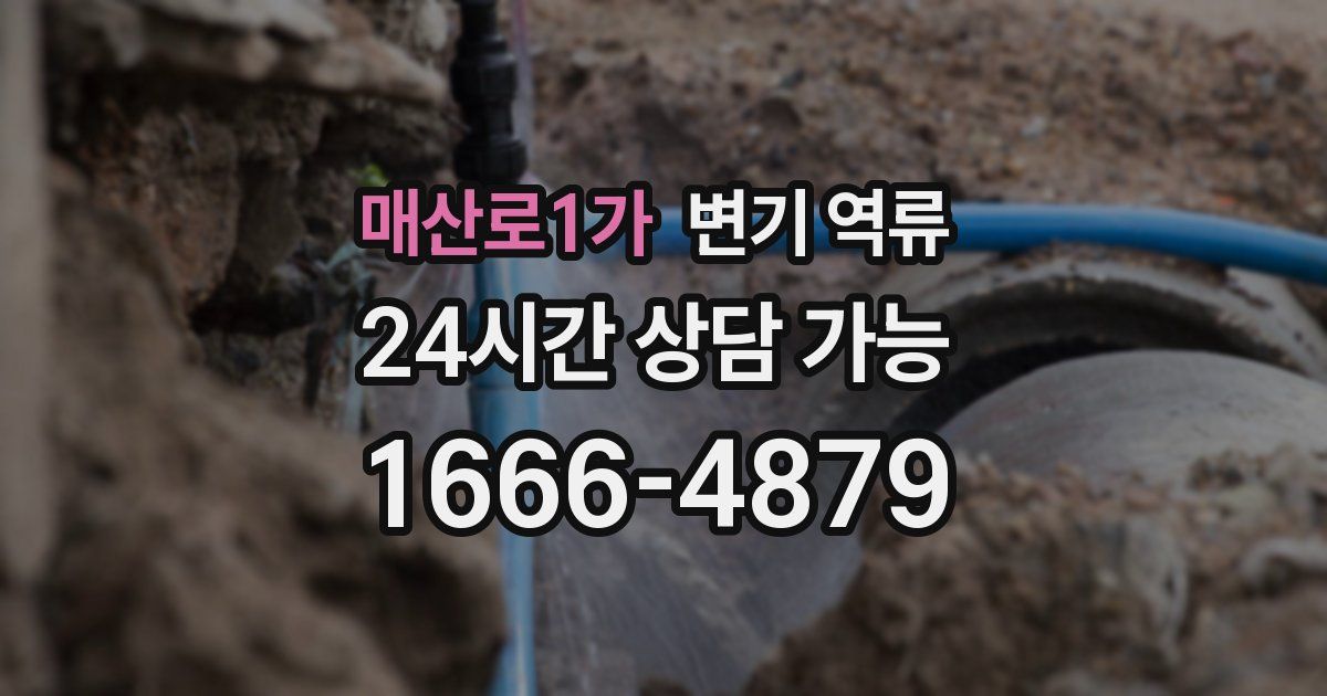 매산로1가 변기 역류