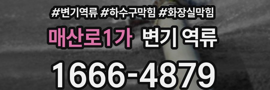 매산로1가 변기 역류