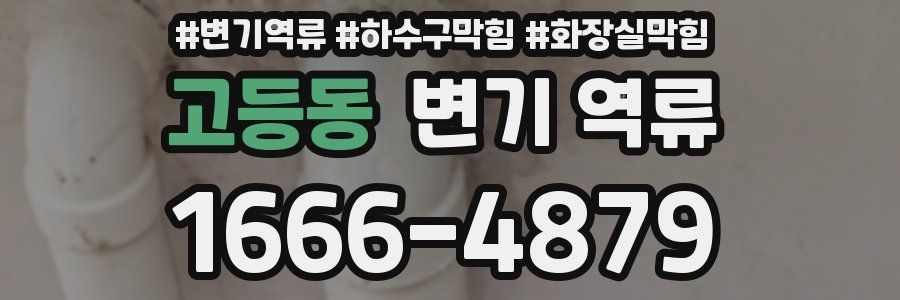 고등동 변기 역류