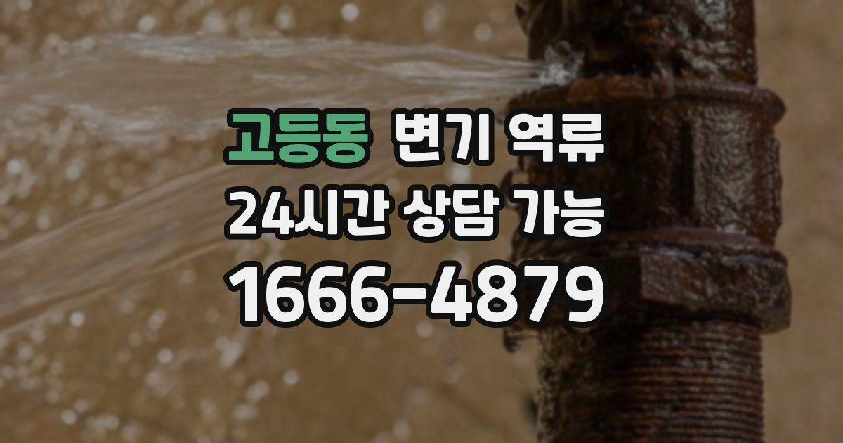 고등동 변기 역류