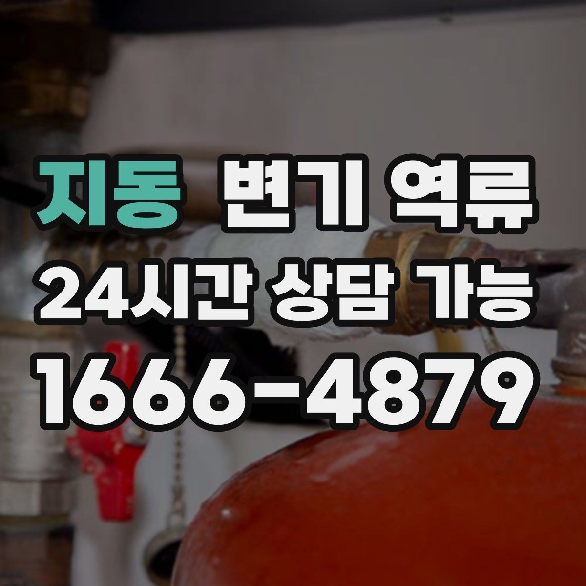 지동 변기 역류 넘친 물을 퍼낼 때 위생과 안전을 지키는 방법