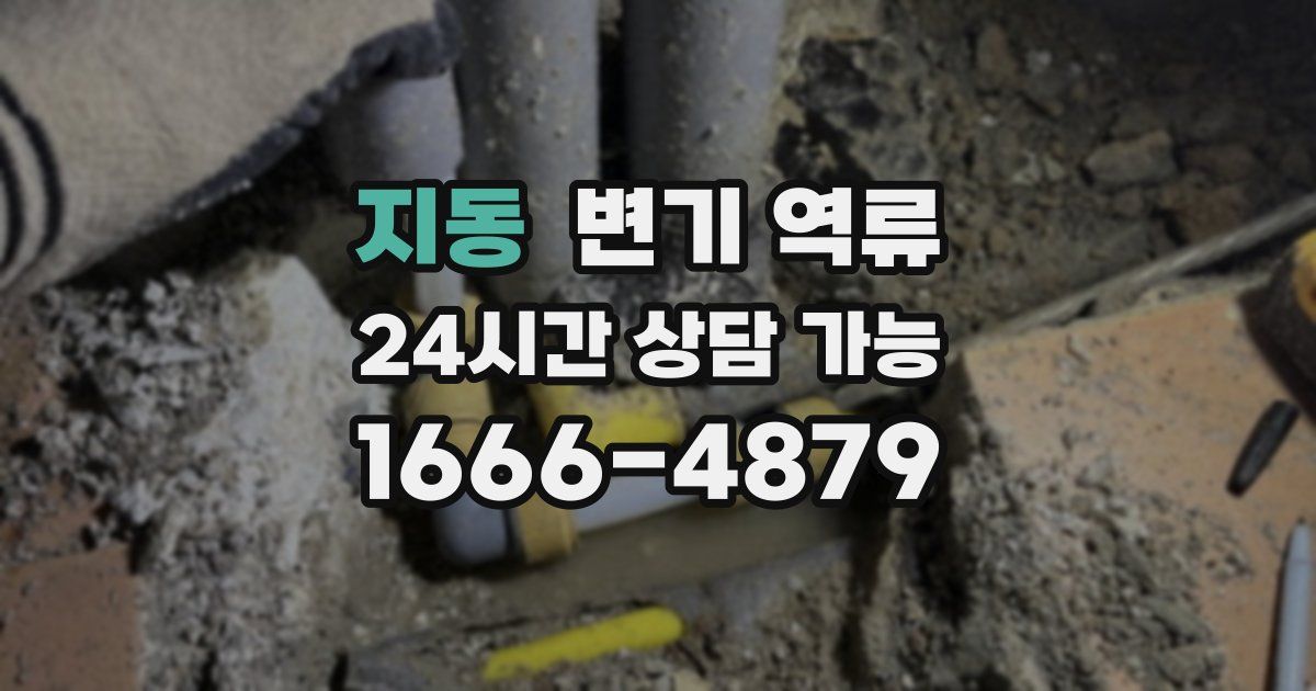 지동 변기 역류