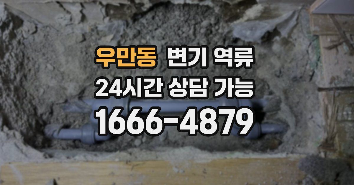 우만동 변기 역류