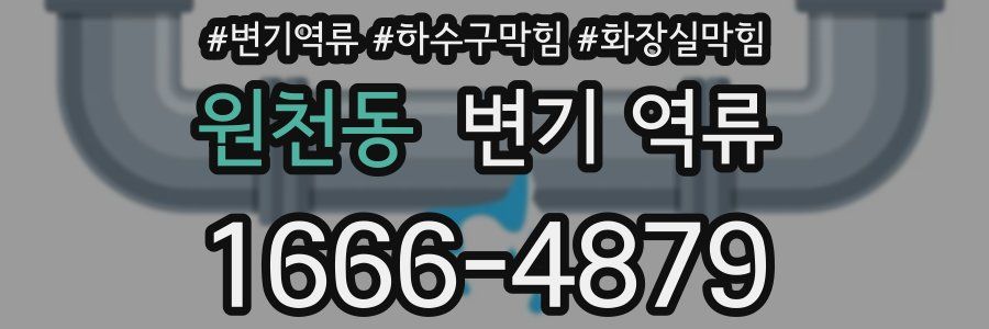 원천동 변기 역류