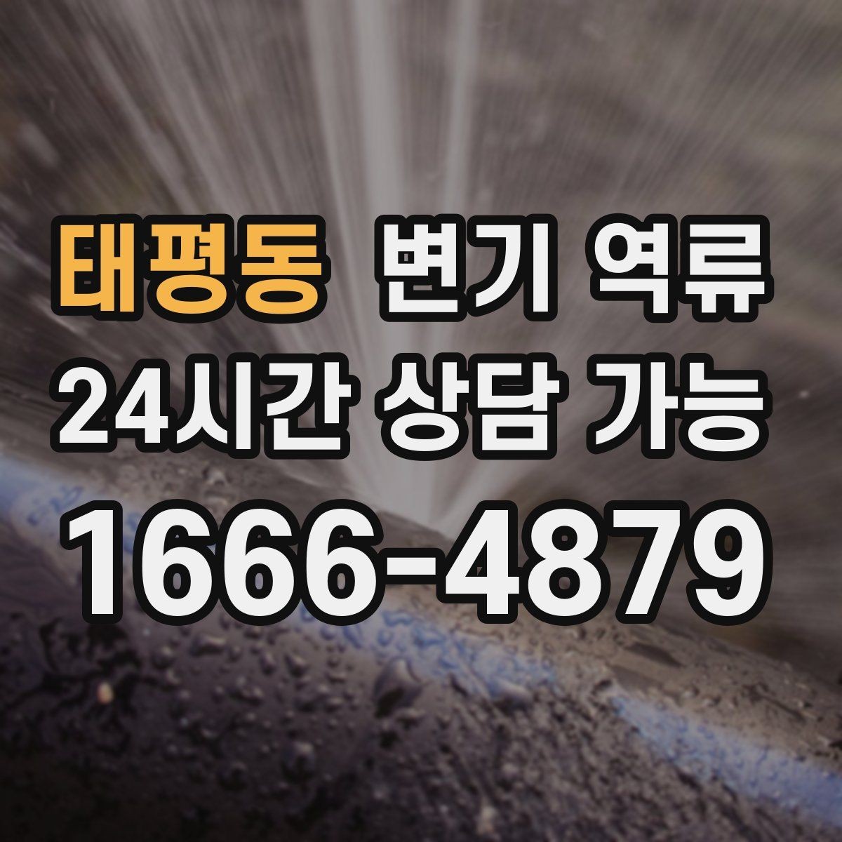태평동 변기 역류 타일 줄눈이 오염에 취약한 이유